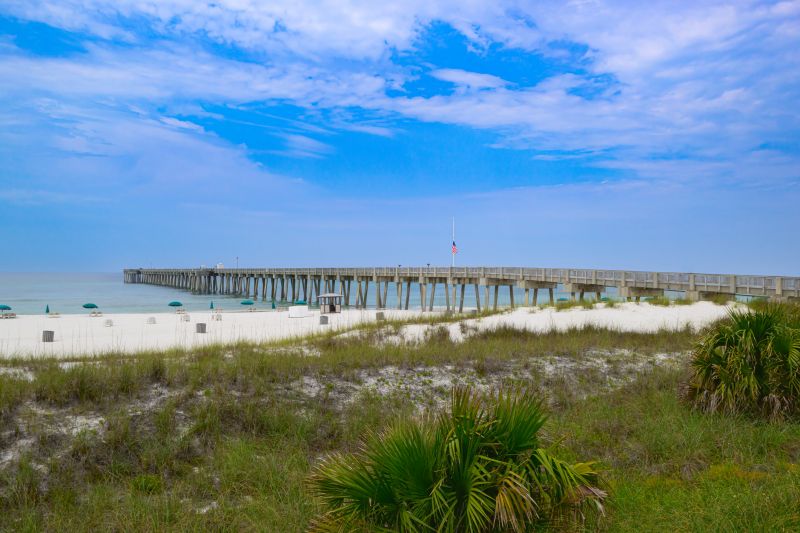 Dock Building Service