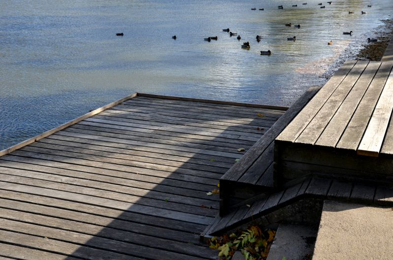 Pond Dock Construction in Denver, CO