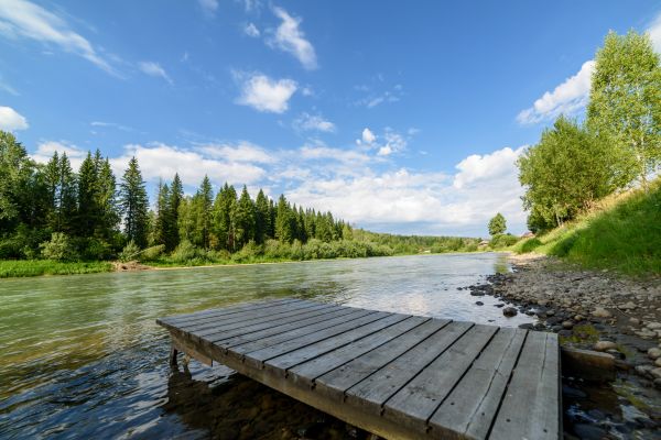 Pond Dock Placement